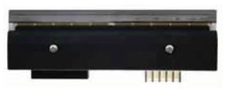 Thermoleiste für Bizerba GLP160, GLMI -104 mm (300 dpi) 